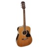 Richwood acoustic guitar RD-12