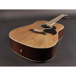 Akustiline kitarr Richwood RD12
