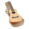 Traveller guitar SX TG1-NA