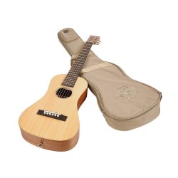 Traveller guitar SX TG1-NA