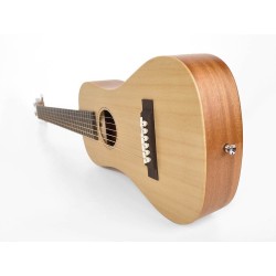 Traveller guitar SX TG1-NA