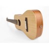 Traveller guitar SX TG1-NA