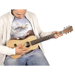 Traveller guitar SX TG1-NA