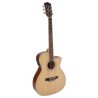Akustiline kitarr Richwood RG-16-CE