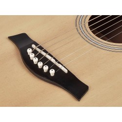 Akustiline kitarr Richwood RG-16-CE