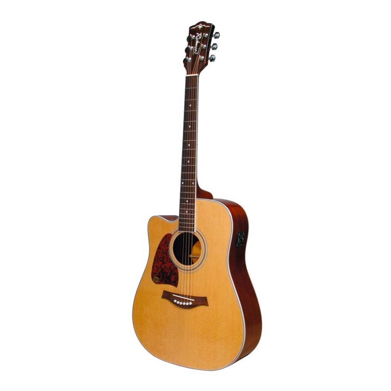 Vasakukäeline elektroakustiline kitarr Richwood RD-17LCE