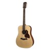 Richwood Master Series handmade dreadnought guitar D-20