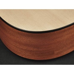 Richwood Master seeria käsitööna valmistatud akustiline kitarr D-20