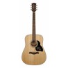 Richwood Master Series handmade dreadnought guitar D-40
