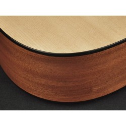 Richwood Master seeria käsitööna valmistatud akustiline kitarr D-40