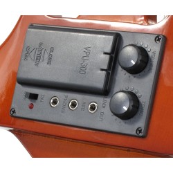 Elektriviiul Classic