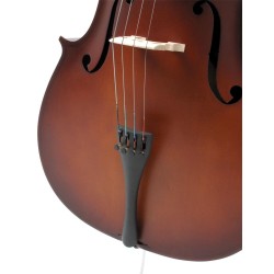 Classic Student Cello