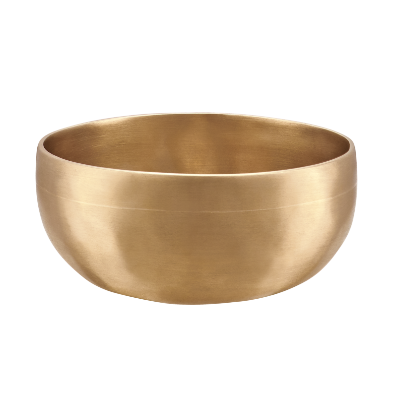 Laulev kauss Meinl U-500