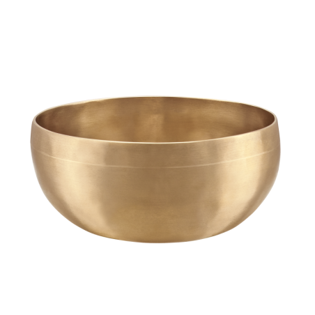 Laulev kauss Meinl U-700