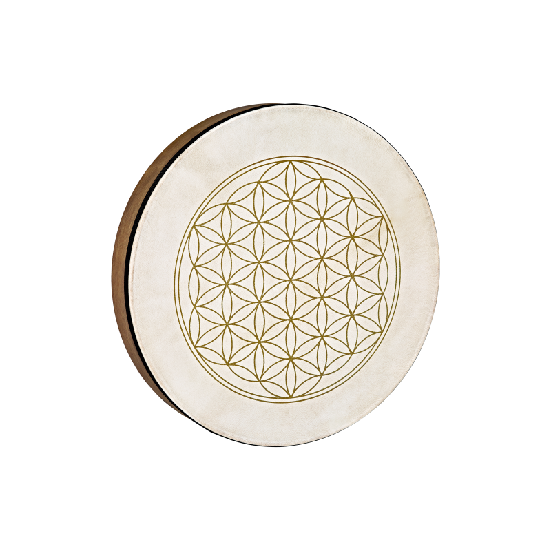 Käsitrumm / raamtrumm Meinl HD16WB-FOL