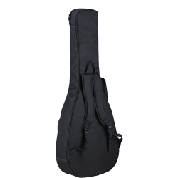 Classical guitar Ortega DSSUITE-E