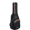 Classical guitar Ortega RCE125SN