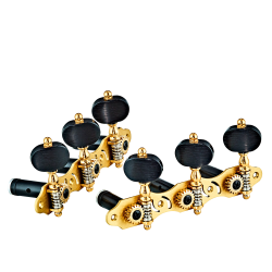 Tuning machines Ortega OTMPRIVATE