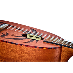 Concert ukulele Ortega RUPA5MM-E