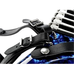 Accordion Weltmeister Perle 48 basses