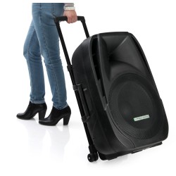 Pronomic PH15AW battery-powered transportable speaker system 15"