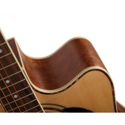 Acoustic Guitar Cort AD880CE NS