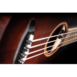 Akustiline basskitarr Ortega KT-WALKER-V2