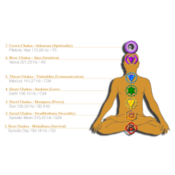 Meinl Planetary Tuning Fork Chakra Set TF-SET-CHA-7