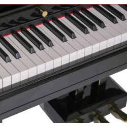 Digital Piano Orla Grand 500