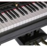 Digital Piano Orla Grand 500