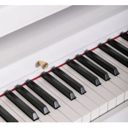 Digital Piano Orla Grand 500