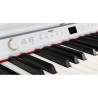 Classic Cantabile DP-50 WM Electric Piano White Matt