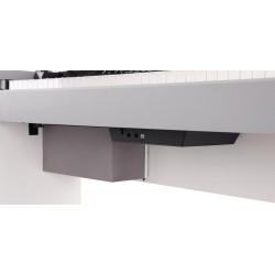 Digiklaver Classic Cantabile CP-A 320 RH