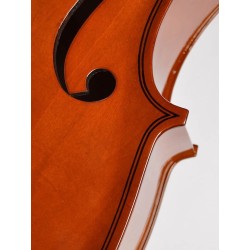 LC-1014 Leonardo Basic series cello outfit 1/4