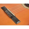 VC204/CSB Valencia Series 200 classic guitar