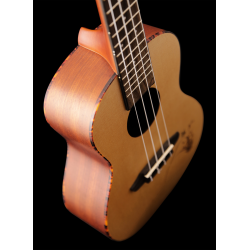 Kontsert ukulele komplekt Ortega RU5