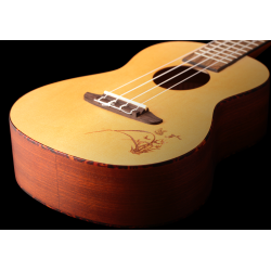 Kontsert ukulele komplekt Ortega RU5