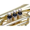 Pocket Trumpet Brass