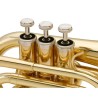 Pocket Trumpet Brass