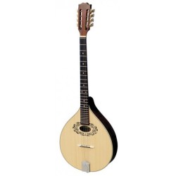 Octave mandolin